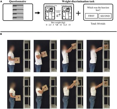 Aging deteriorates the ability to discriminate the weight of an object during an action observation task